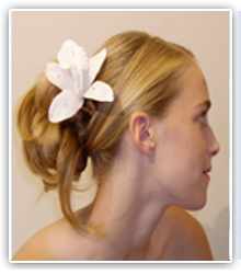 salon picture